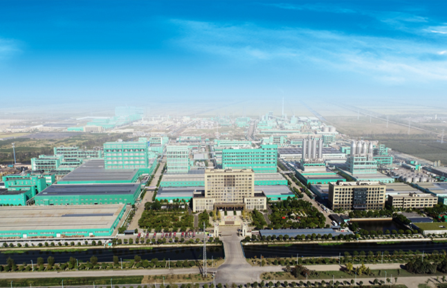 企业展示