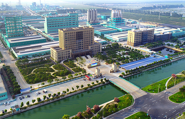 企业展示